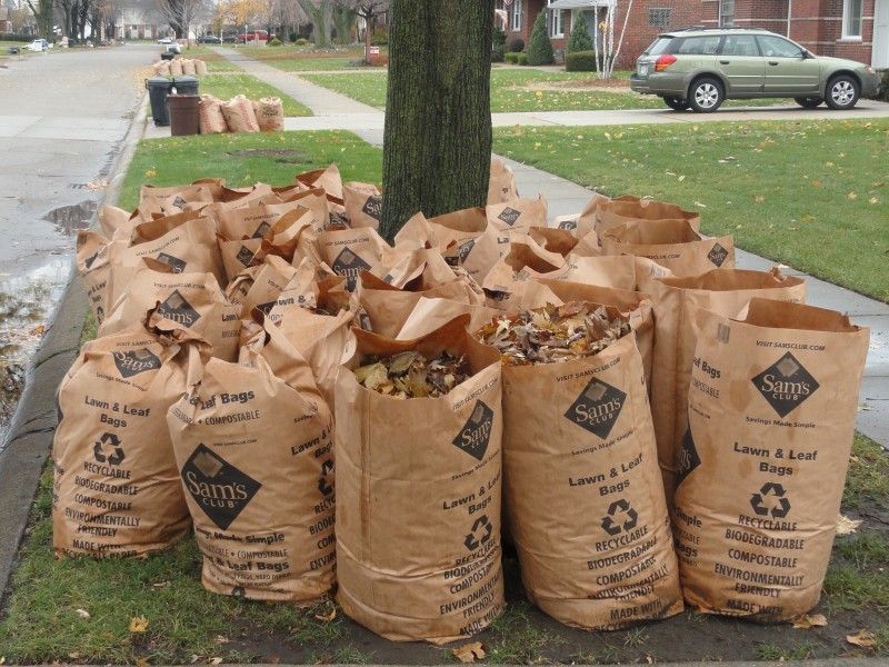 Yard Waste Pickup Resumes April 13 University District Community